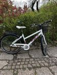 Crescent 26” (7vxl)