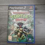 Turtles 