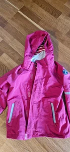 Polarn pyret skaljacka