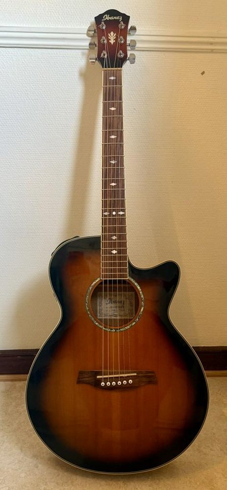 Ibanez AEG10 med inbyggd mikr...