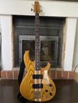 Elbas Aria pro 2 sb-900