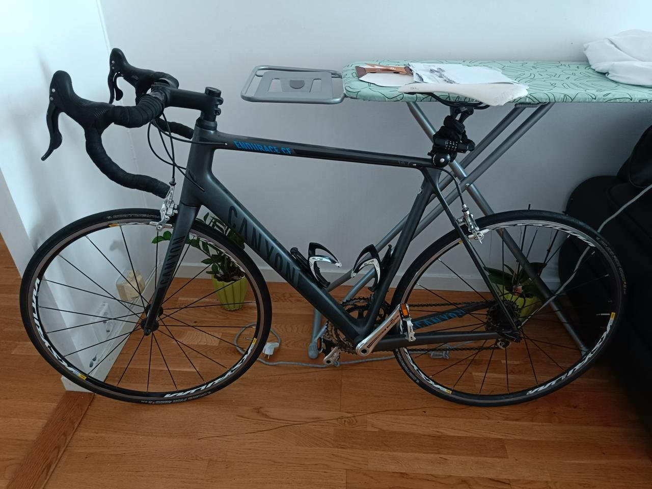 CANYON ENDURANCE CF