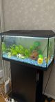 Akvarium 105 Liter. Ingår pump & doppvärmare
