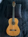 Akustisk gitarr