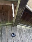 black owl putter 