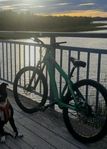 Mountainbike