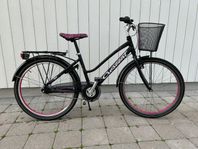 Crescent Lone 24”