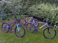 3 st mtb/dirt 