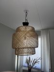 Rotting lampa