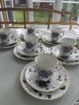 6 koppar med fat och assiett, Victorian Violet.