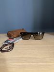 Ray Ban 4181 mörkbruna