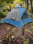 Popup-tält, Blue Small | Automatic Pop-Up Tent