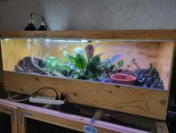 Terrarium med tillbehör