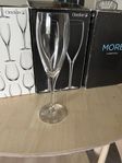 Orrefors More champagneglas