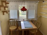 köksbord, 4 stolar, hyllor, lampa