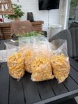 kantareller 