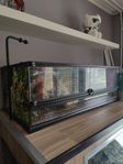 Terrarium Exo Terra