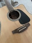 Takamine stålsträngad, med mic 