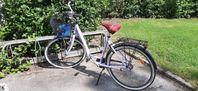 Sjösala Damcykel