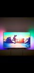 Philips 65" 4K UHD Smart TV 65PUS6412