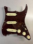 Fender Stratocaster Tex-Mex plektrumskydd