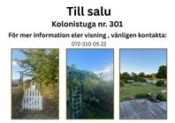kolonistuga