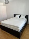 MALM säng med madrass, bäddmadrass och kuddar från IKEA