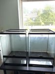 Terrarium olika strl