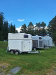 hästtransporter  uthyres 