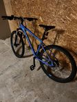 Mountinbike