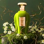 Emir Voux Zingy EdP 100 ml 