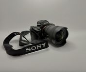 Sony A7 III + Sony FE 14mm f/1.8 GM – Mycket fint skick