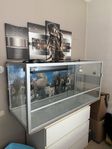 Terrarium 125x50x60