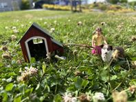 Schleish hundkoja, hund och ägare