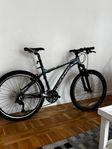 Fuji  MTB