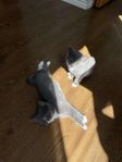 Kattungar