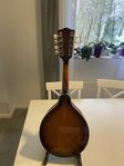 ARIA M-180 mandolin