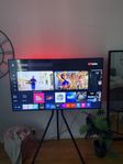 Samsung 55 tum TV