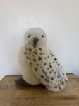 Gosedjur Hedwig uggla