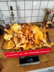 Kantareller 1,1 kg