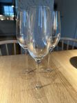 3 st Orrefors Champagneglas Difference