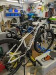 Mountainbike Specialized
