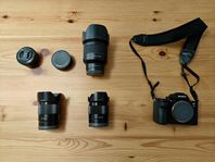 Sony A7iii, Sony 35 1.8, Samyang 50 1.4