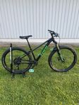 Trek Roscoe 9