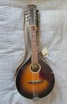 Mandolin