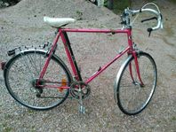 Värlsmästarcykeln