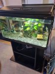 Akvarium med tillbehör 