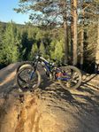 Yamaha Moro 07