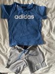Adidas set 86