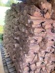 Torr Björkved ved 40l